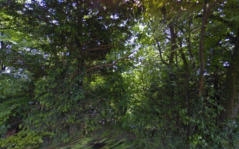 2371 d9b5bb006571 768x480